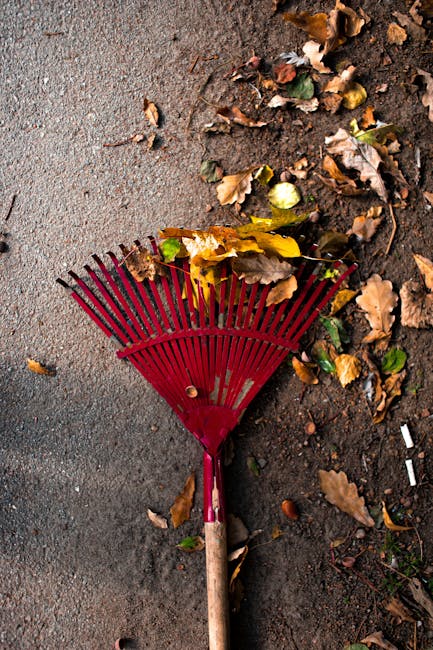 A red plastic garden rake with a wooden handle lies on a paved surface. The rake's tines are partially covered with fallen autumn leaves in various shades of brown, yellow, and green. Surrounding the rake, there is a mixture of more leaves scattered across the pavement and on a section of dark soil or dirt at the edge of the image. The scene appears to be outdoors, possibly in a garden or driveway, with natural lighting highlighting the textures of the leaves and the rake. This image illustrates typical debris collection activities, such as leaf raking, which may be relevant in the context of private waste handling or seasonal rubbish clearance services provided by companies like Rubbish Clearance Kingston, operating in areas including Kingston and Canbury Gardens, for efficient on-site rubbish removal and outdoor cleaning tasks.