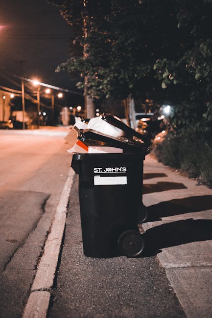 A black wheeled rubbish bin with the label 'St. John’s' on the side, positioned on a paved sidewalk beside a street at night. The bin is open, revealing stacked, partially crushed cardboard boxes and assorted waste materials inside. The street is illuminated by warm streetlights, casting soft shadows on the pavement and nearby curb. Behind the bin, there are trees and dark hedges lining the edge of the sidewalk, with some foliage partially visible under the street lighting. In the background, the street extends into the distance with additional streetlights and parked vehicles faintly visible, giving an urban setting that suggests this scene relates to private waste collection or rubbish removal services such as those provided by Rubbish Clearance Kingston. The overall scene emphasizes the importance of proper waste handling and the use of designated disposal bins for rubbish collection outside of regular municipal waste services, aligning with the company's focus on independent rubbish clearance and waste management solutions.